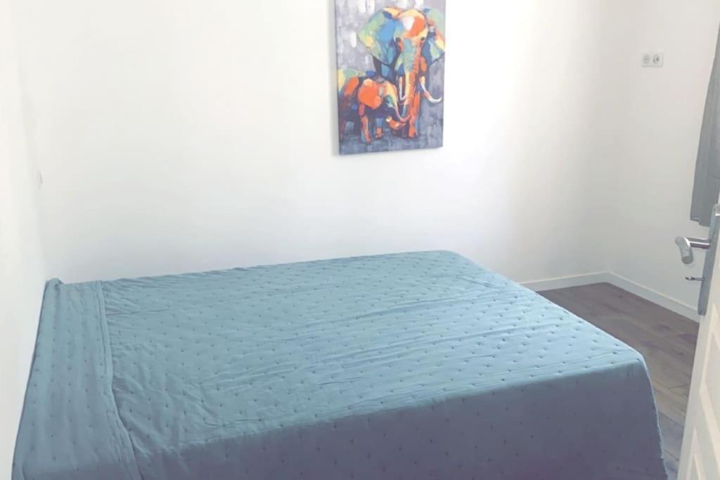 Appartement T2 Chez Thomas Et Nas Omessa Exteriör bild